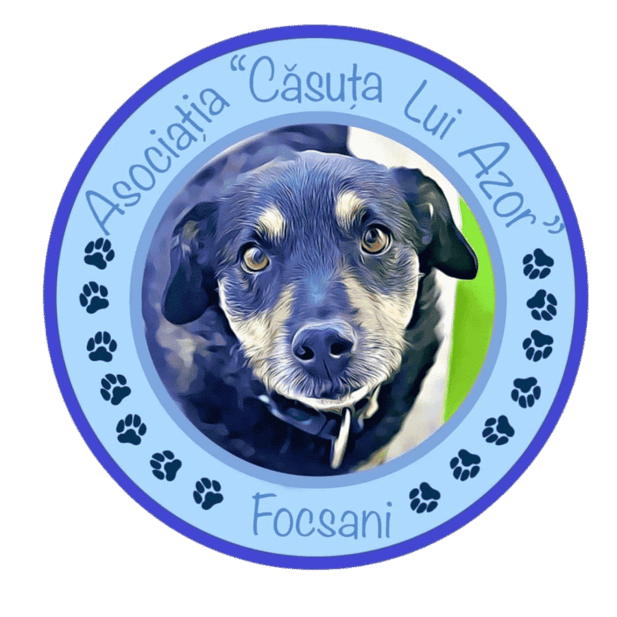 19201920p569EDNmainimg-Logo-Casuta-lui-Azor1