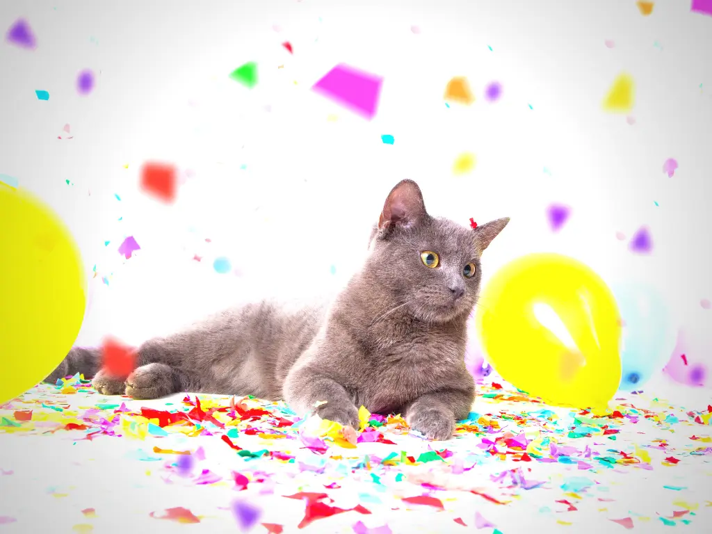 19201920p572EDNmainimg-2210-Anlassspenden—icon