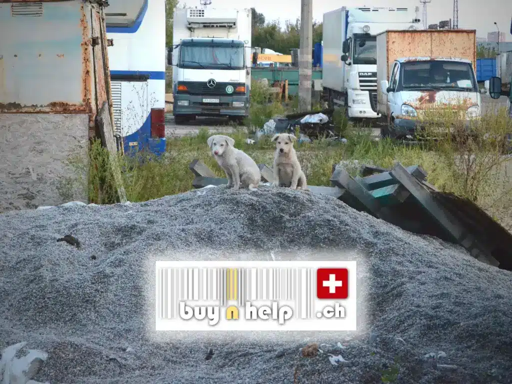 19201920p572EDNmainimg-2210-Buynhelp—icon