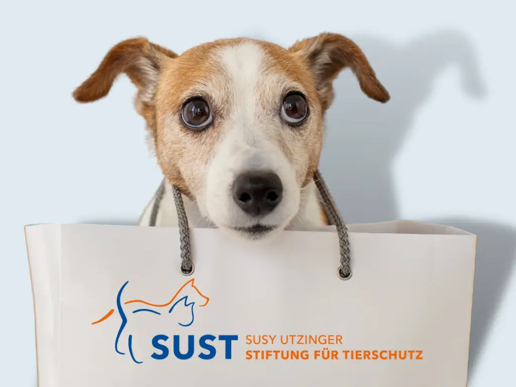 19201920p572EDNmainimg-2408-Marktplatz—icon