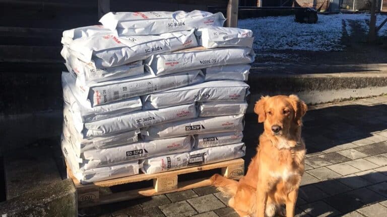 Ein Hund sitzt neben einer Palette mit Futtersäcken