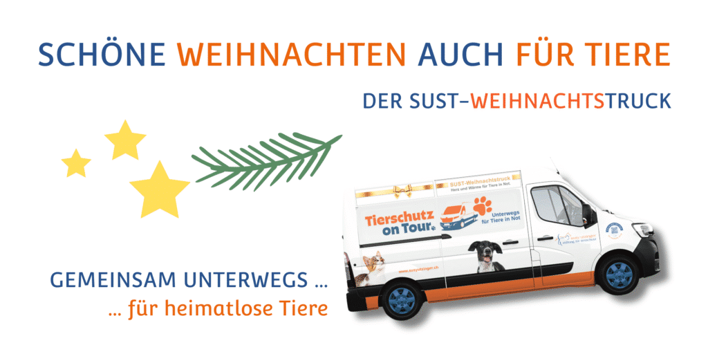 2024 - 09 - SUST WeihnachtsTruck Design