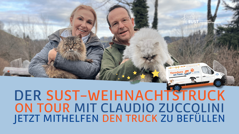 2024—11—SUST-Weihnachtstruck-03