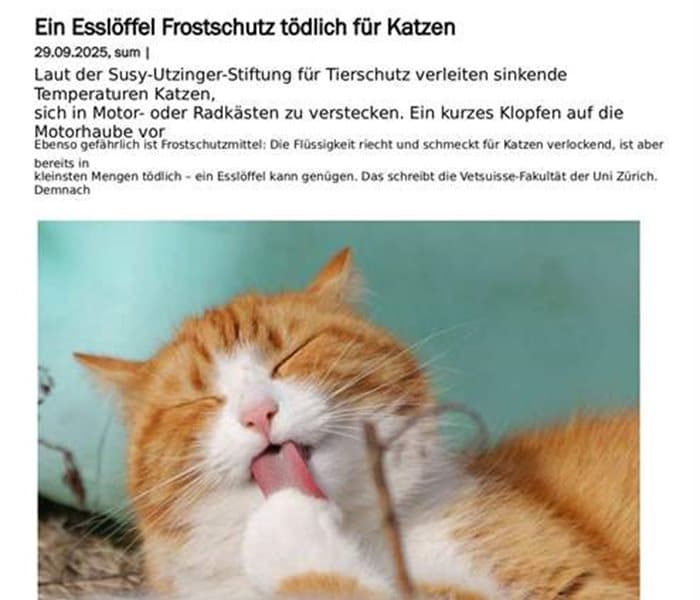 thumbnail_2025-09-29_schweizerbauer.ch_Ein-Essloeffel-Frostschutz-toedlich-fuer-Katzen