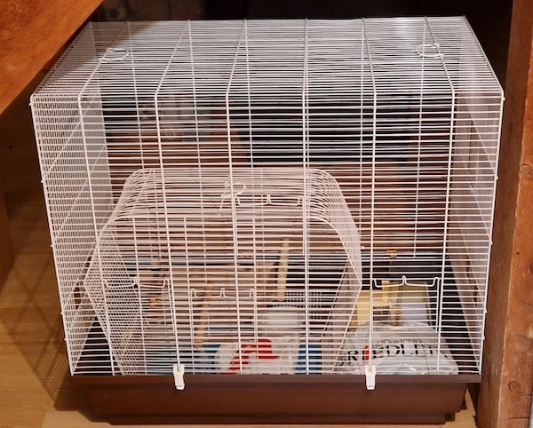 Duschletta_Natascha_Foto1