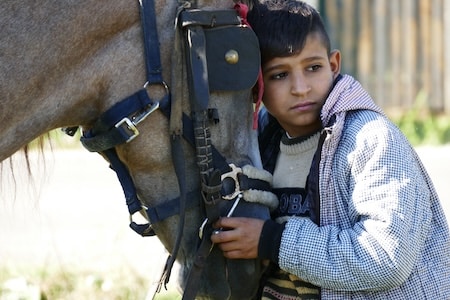 RumänienArbeitspferdeBehandlungenunterstützenMenschundTier