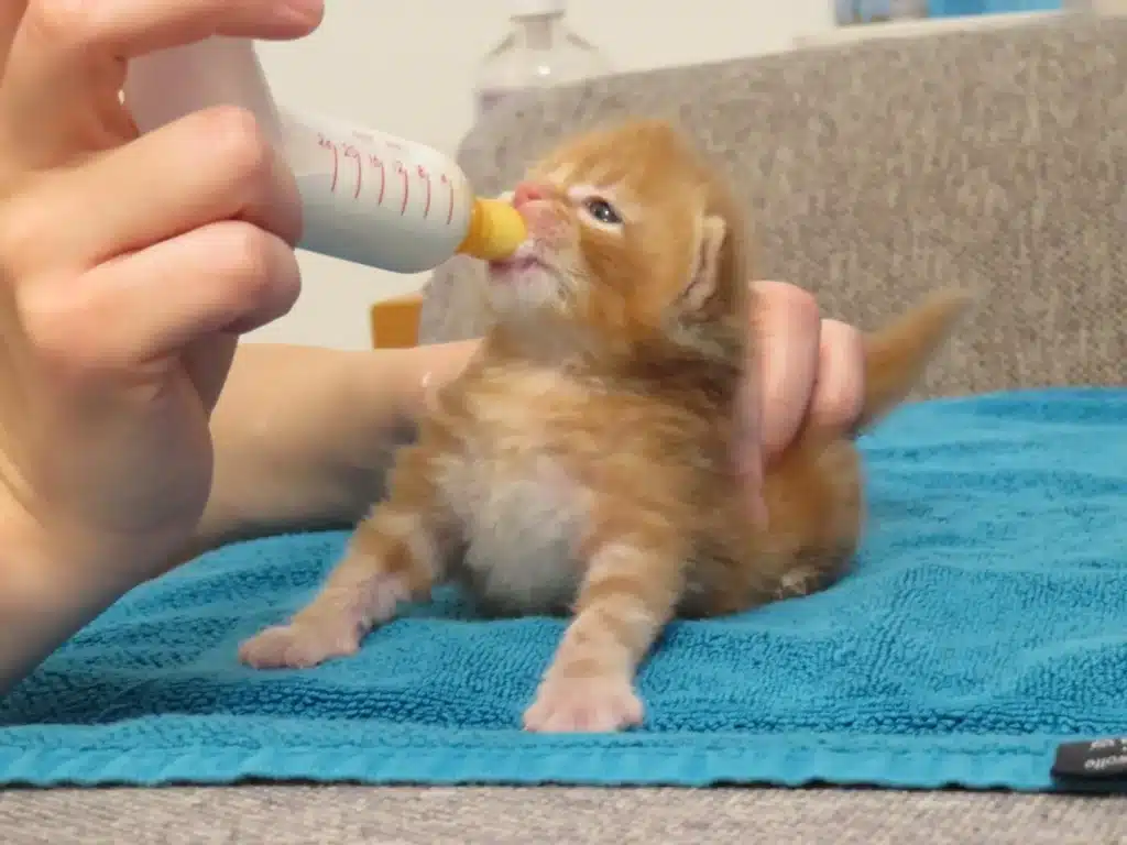 STARTSEITE Spendenmodul