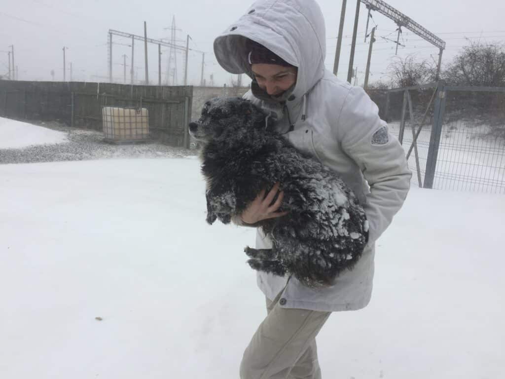 Eine SUST-Agentin trägt einen verschneiten Hund