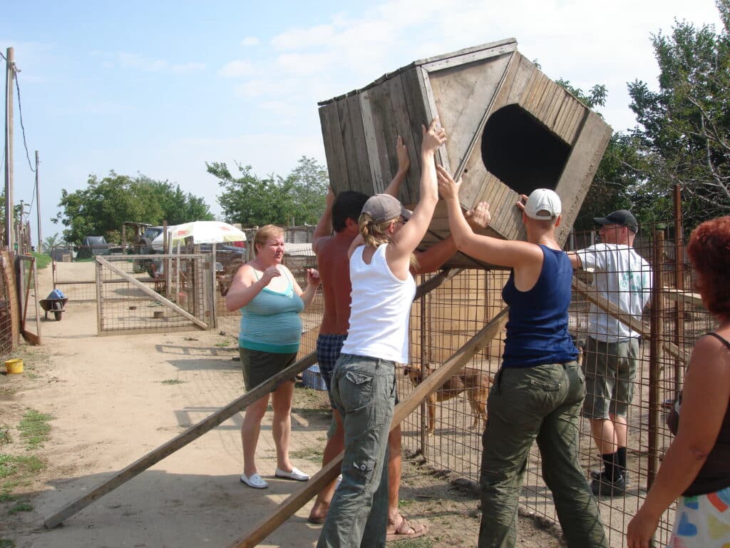 Helferinnen und Helfer heben gemeinsam eine Hundehütte aus Holz in ein Gehege