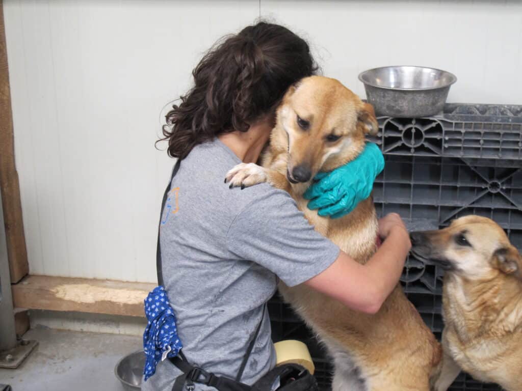 Eine Helferin im SUST-Einsatz umarmt einen hellbraunen Hund, der sich an ihr aufrichtet