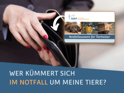 Bild des Notfallausweises