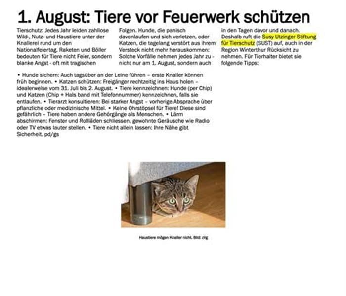 Vorschaubild zum Artikel