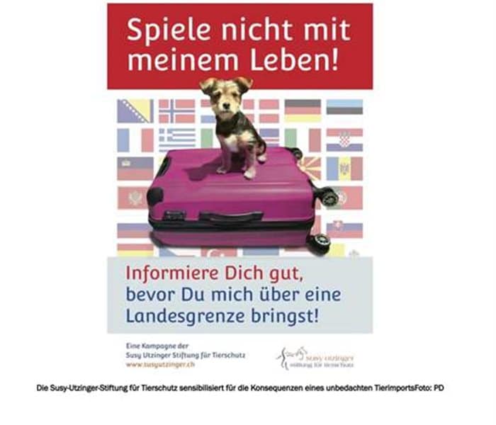 Vorschaubild zum Artikel