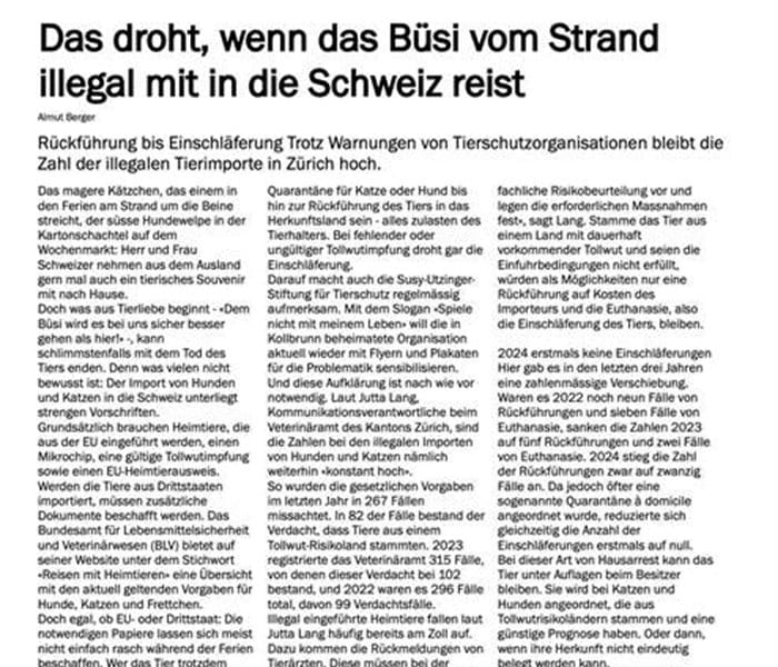 Vorschaubild zum Artikel