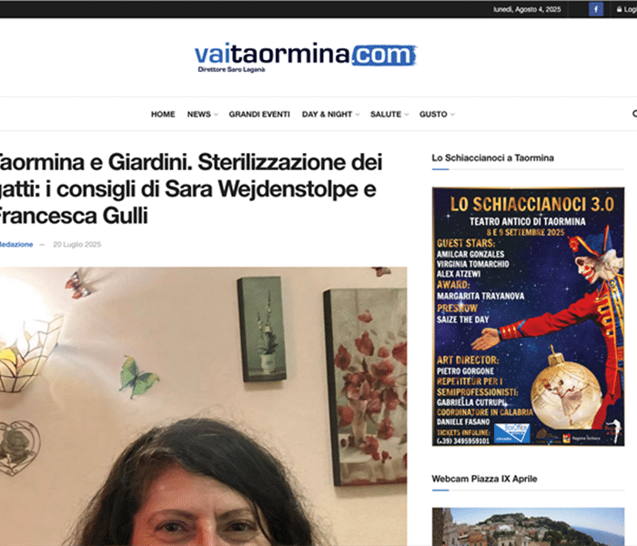 Vorschaubild zum Artikel