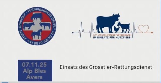 Titelbild Grosstierrettungsdienst