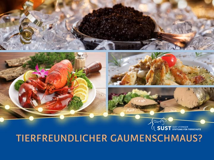 Hummer, Kaviar und Froschhenkel auf Teller