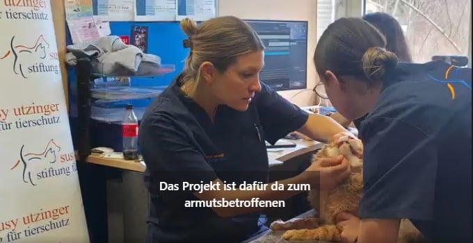 Tierärztin untersucht eine Katze