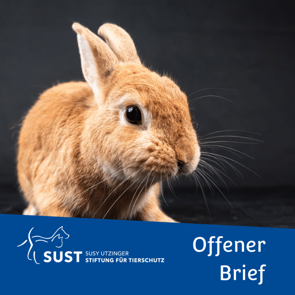 Bild zum Beitrag «Offener Brief an Siemens Healthineers International AG und Neovii Pharmaceuticals AG»