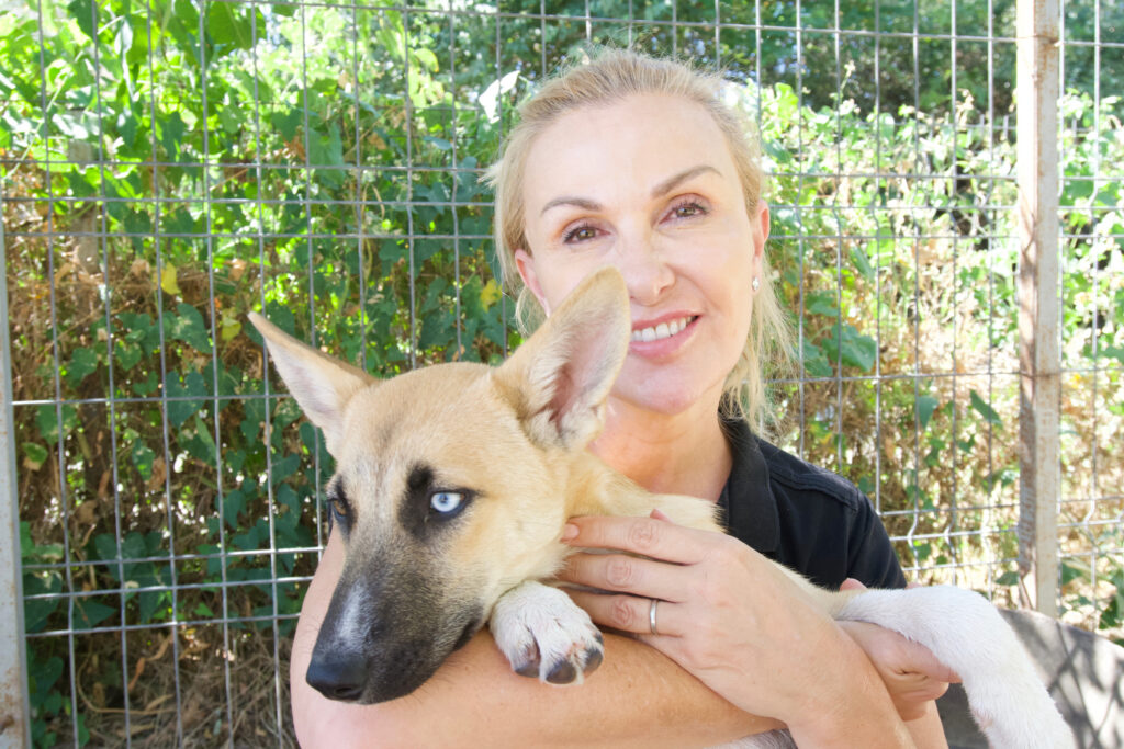 Susy Utzinger mit heimatlosen Hunden im SUST-Shelter Galati, Rumänien