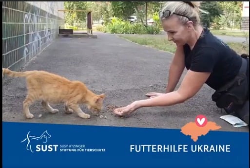 Susy Utzinger füttert eine Katze.