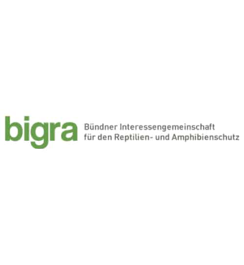 Logo Bündner Interessengemeinschaft für den Reptilien- und Amphibienschutz - Partner-Projekt