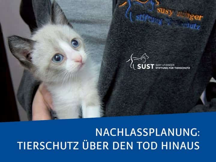 Frau mit Katze im Arm