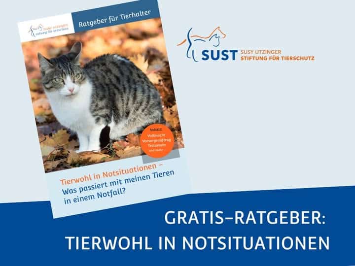 Bild von Broschüre mit Katze.