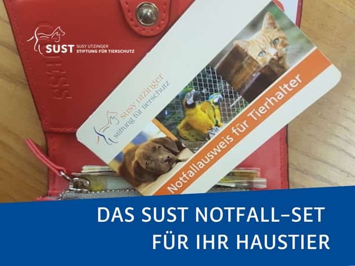 Portemonnaie mit Tier-Notfallausweis