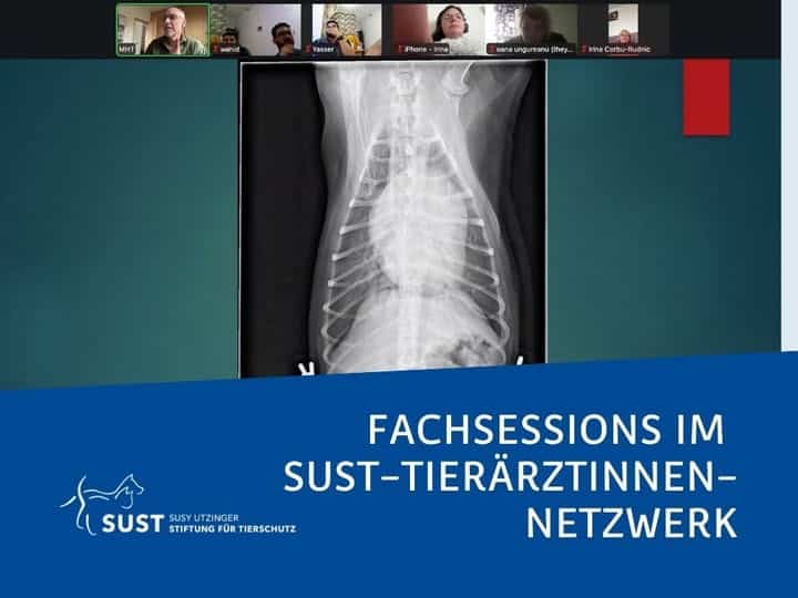 Röntgenbild von einem Brustraum.