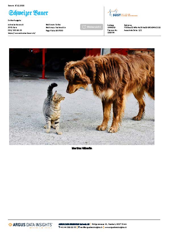 Vorschaubild zum Artikel