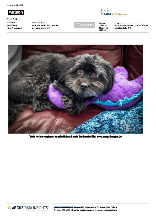 Vorschaubild zum Artikel