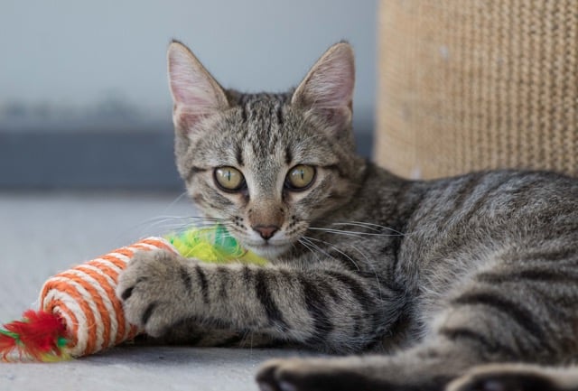 Vorschaubild für das Pressefoto