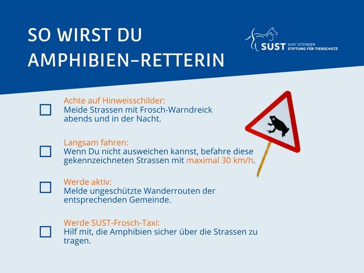 Informationsbild, wie Sie Amphibien RetterIn werden.