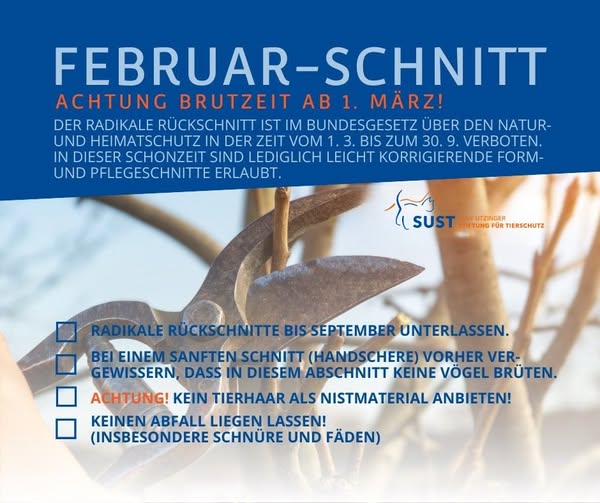 Infopic Februarschnitt