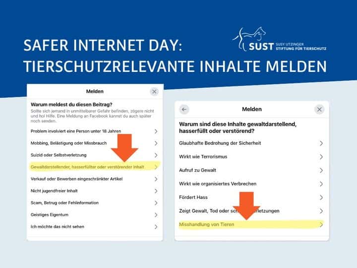 Ansicht Socialmedia Beitrag melden