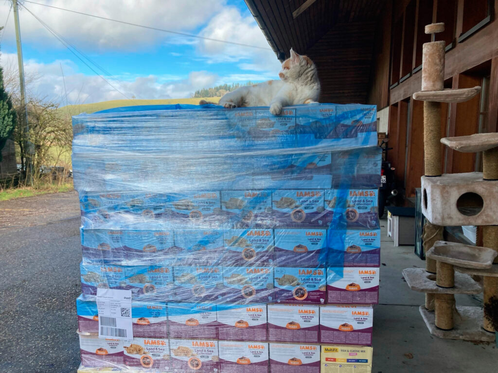 Eine Katze sitzt auf einer Palette mit verpacktem Tierfutter
