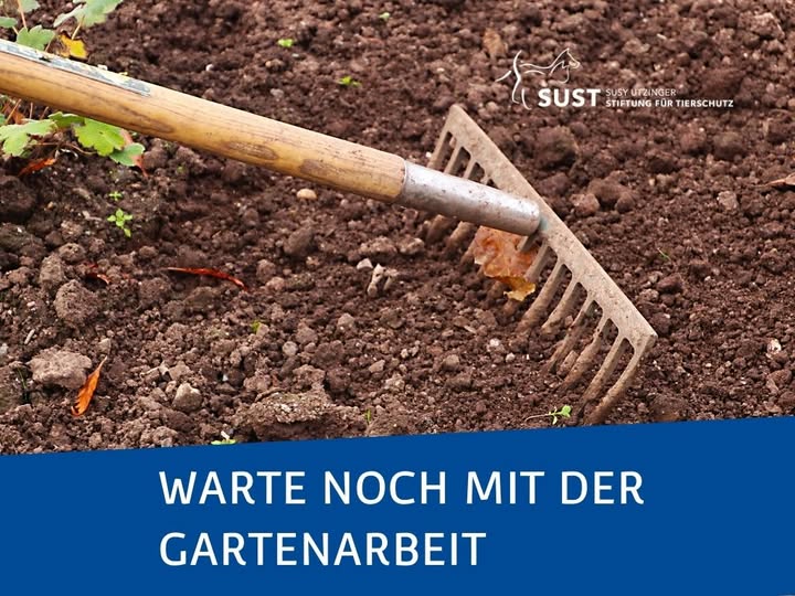 Gartenrechen