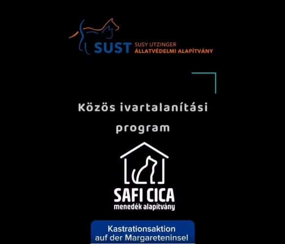 Titelbild von Partner Organisation Safi Cica.
