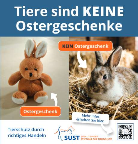 Vorschaubild zum Füllerinserat "Tiere sind keine Ostergeschenke"