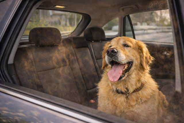 Vorschaubild für das Pressefoto