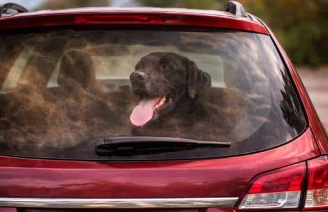 Vorschaubild für das Pressefoto