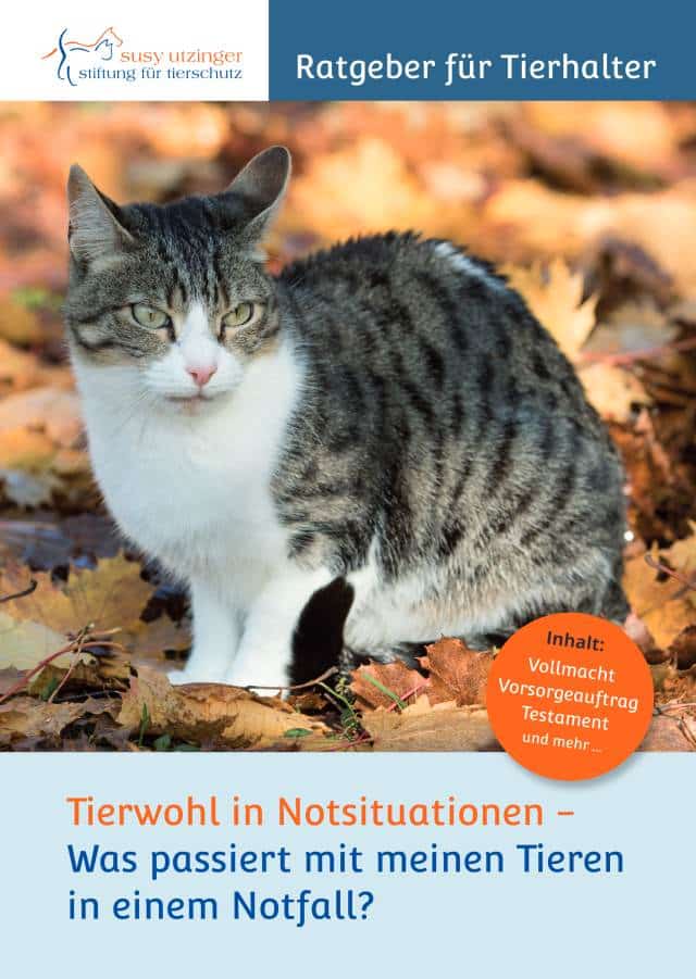 Vorschaubild für das Pressefoto