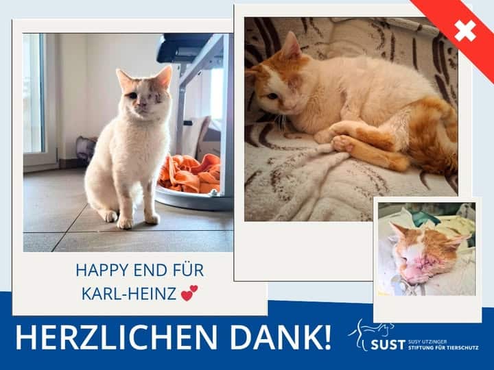 Karl-Heinz nach seiner Operation und nun glücklich in seinem Zuhause.