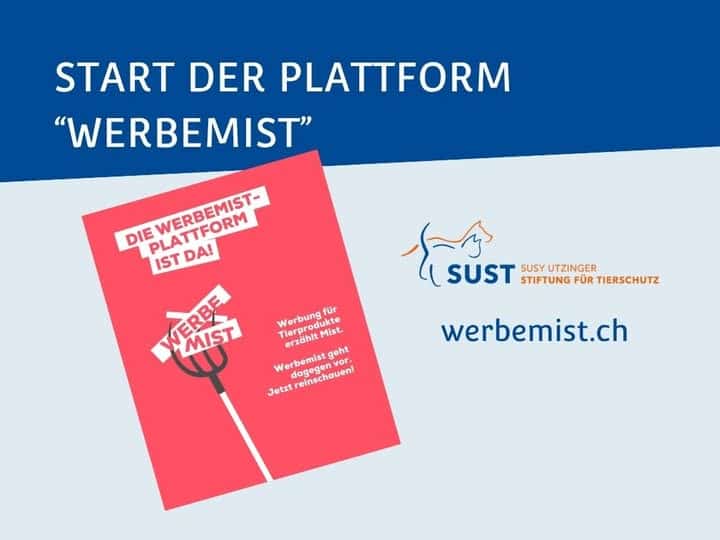 Titelbild Werbemist Plattform