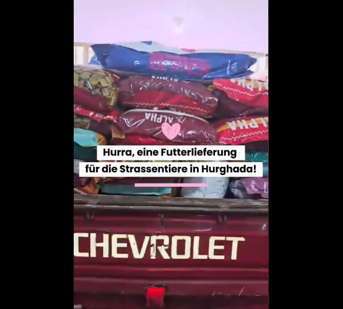 Mit Futtersäcken gefüllte Pickup Ladefläche.