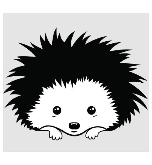 Logo-CH-Partner-Projekte-Igelnothilfe