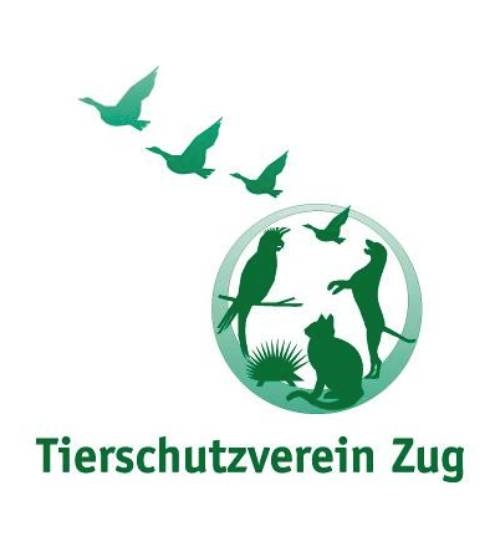 Logo-CH-Partner-Projekte-TSCHV-Zug