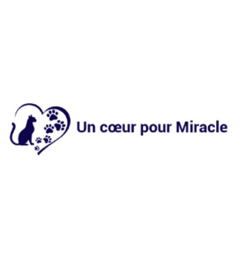 Logo-CH-Partner-Projekte-un-coeur-pour-Miracle