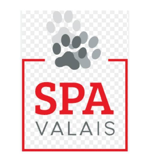 Logo-CH-Partner-SPA-valais